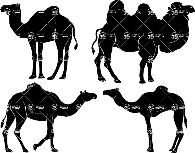 Vector silhouettes - Vector Camel Silhouettes Set